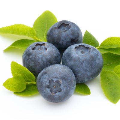 Heidelbeeren
