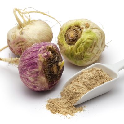 Maca-Pflanze