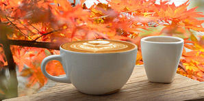 Manucafe: Seien wir Frisch und Fit