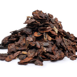 COSTA RICA – Cascara