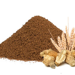 Zichorienkaffee mit Dinkel und Maca
