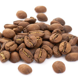 Nicaragua SHG Esteli BIO - Bohnenkaffee hell geröstet