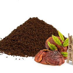 Adaptiver entkoffeinierter Kaffee mit Reishi und Ashwagandha - nur gemahlen erhältlich