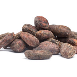 ECUADOR UNOCADE PREMIUM BIO - Kakaobohnen (ungeröstet, sortiert)