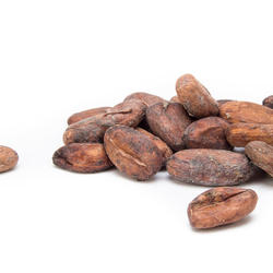 VENEZUELA SUR DEL LAGO SUPERIOR - Kakaobohnen ungeröstet